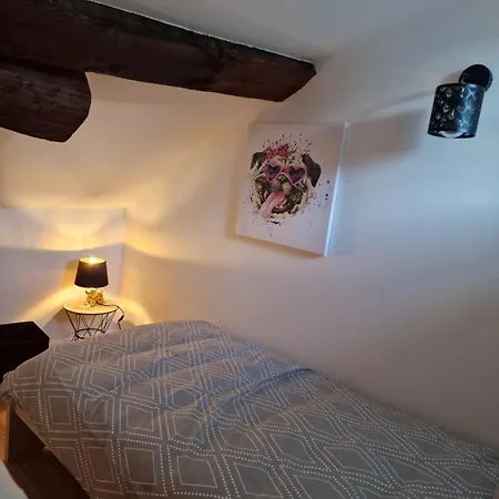 Maison Charmante Quartier Historique Holiday home Langres