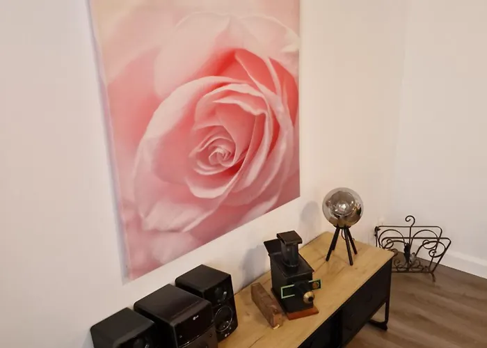 Maison Charmante Quartier Historique Hébergement de vacances